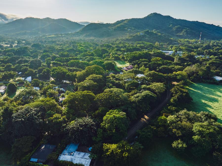 Real drone photo: forested hills of Santa Cruz above La Garita